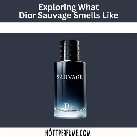 dior sauvage unisex|dior sauvage smells like.